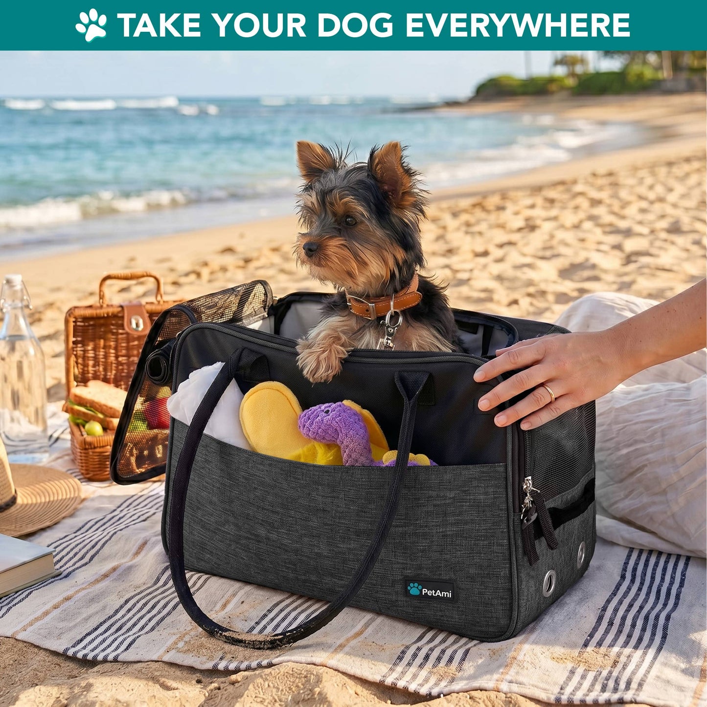 Stylish Handbag Purse Pet Carrier: Polka Dot Black / One Size - 17" x 8" x 11" (LxWxH)