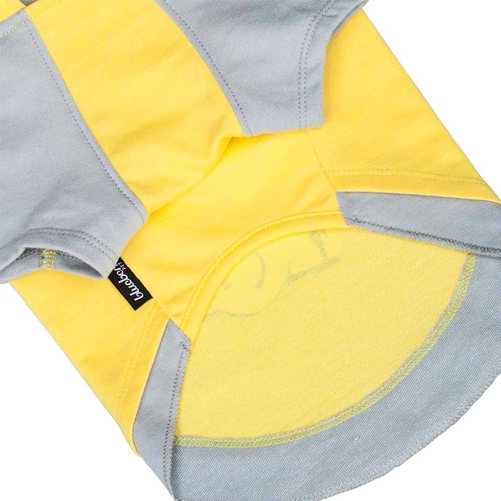 Camera Dog Hoodie: Yellow Camera / 10"
