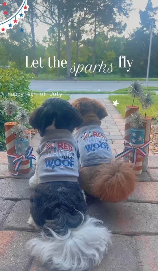 Red White and Woof Dog T-Shirt – Patriotic Outfit for Dogs: Medium