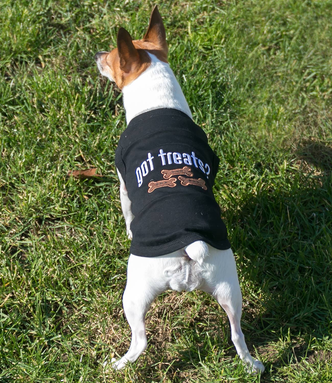 Got Treats Dog T-Shirt – Comfy & Stylish Dog Tee for Pets: XS