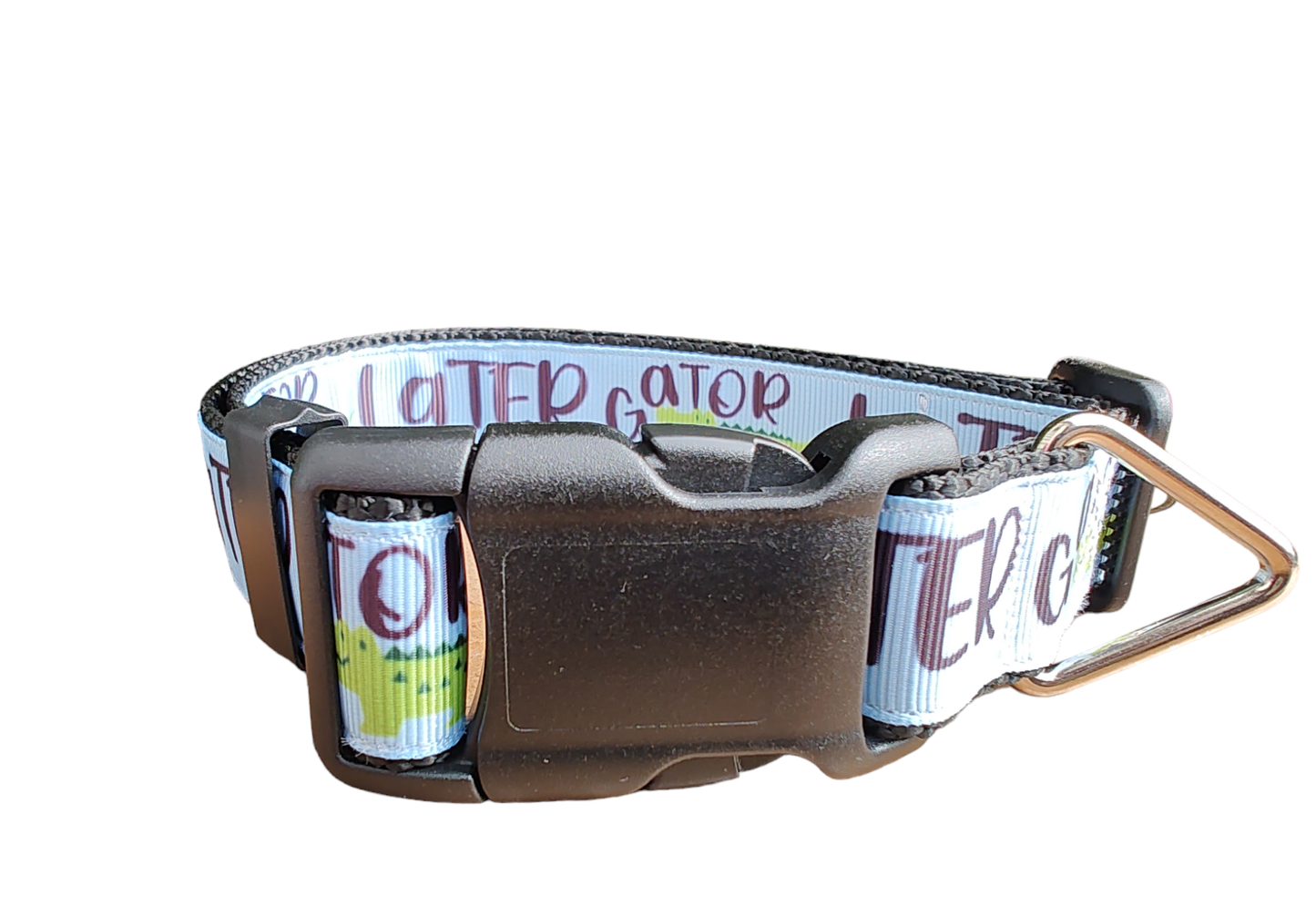 Later Gator Black Nylon Dog Collar, Leash: 6 Ft Leash