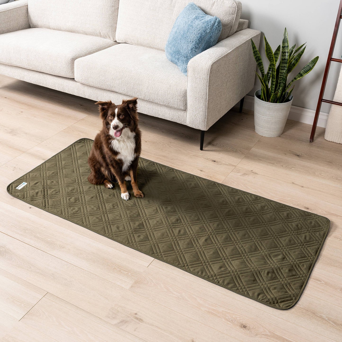 Waterproof Pet Furniture Cover Couch Protector: Charcoal / X-Large - 82" x 102"