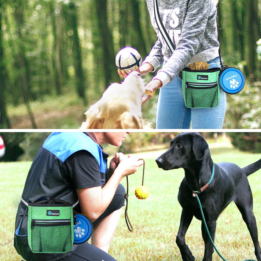 Everyday Dog Treat Training Pouch Bag: Heather Turquoise / One Size - 7" x 6.8" x 2.5" (LxWxH)