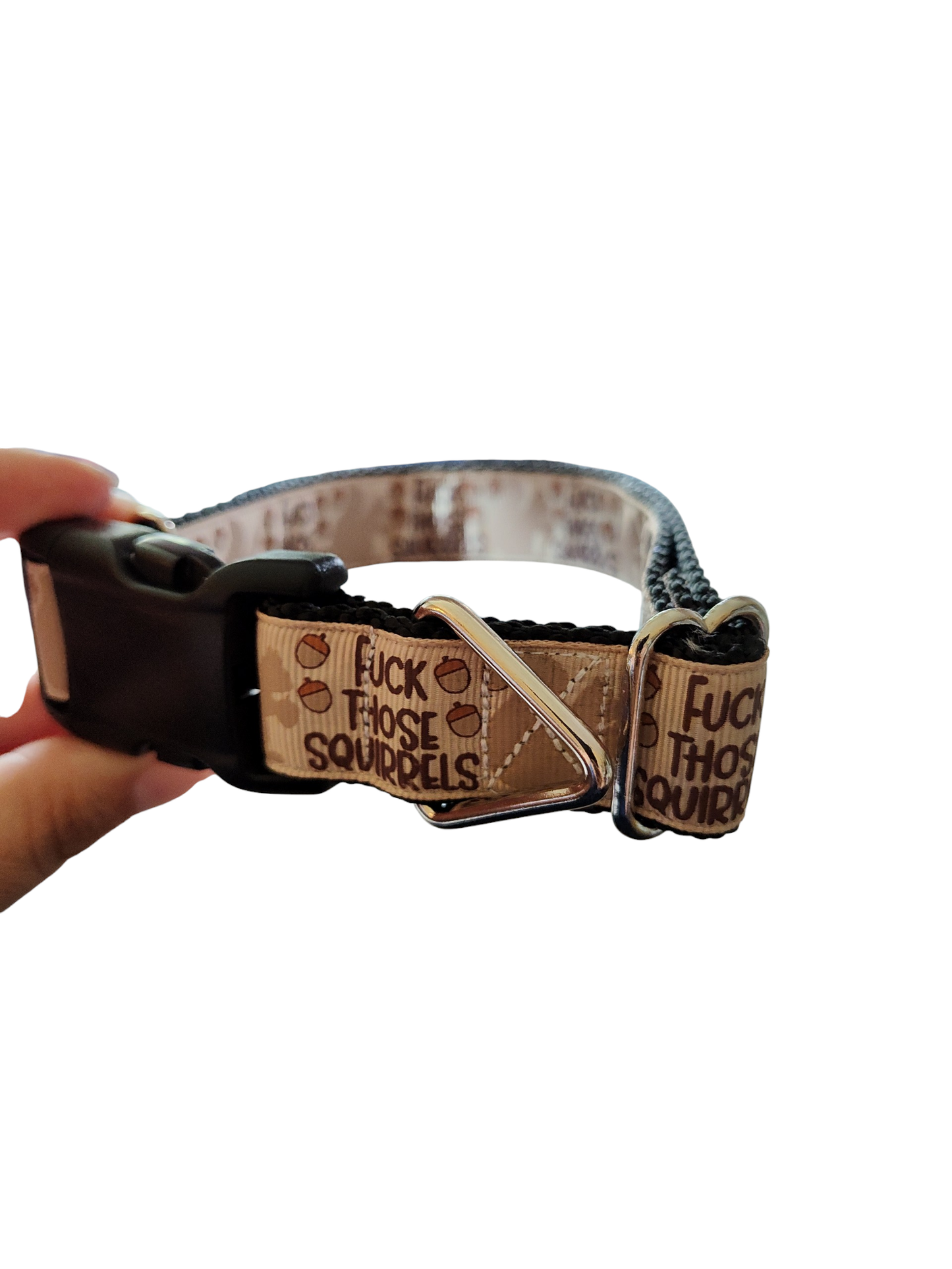 Fuck Those Squirrels Nylon Dog Collar: Plastic Buckle / Large