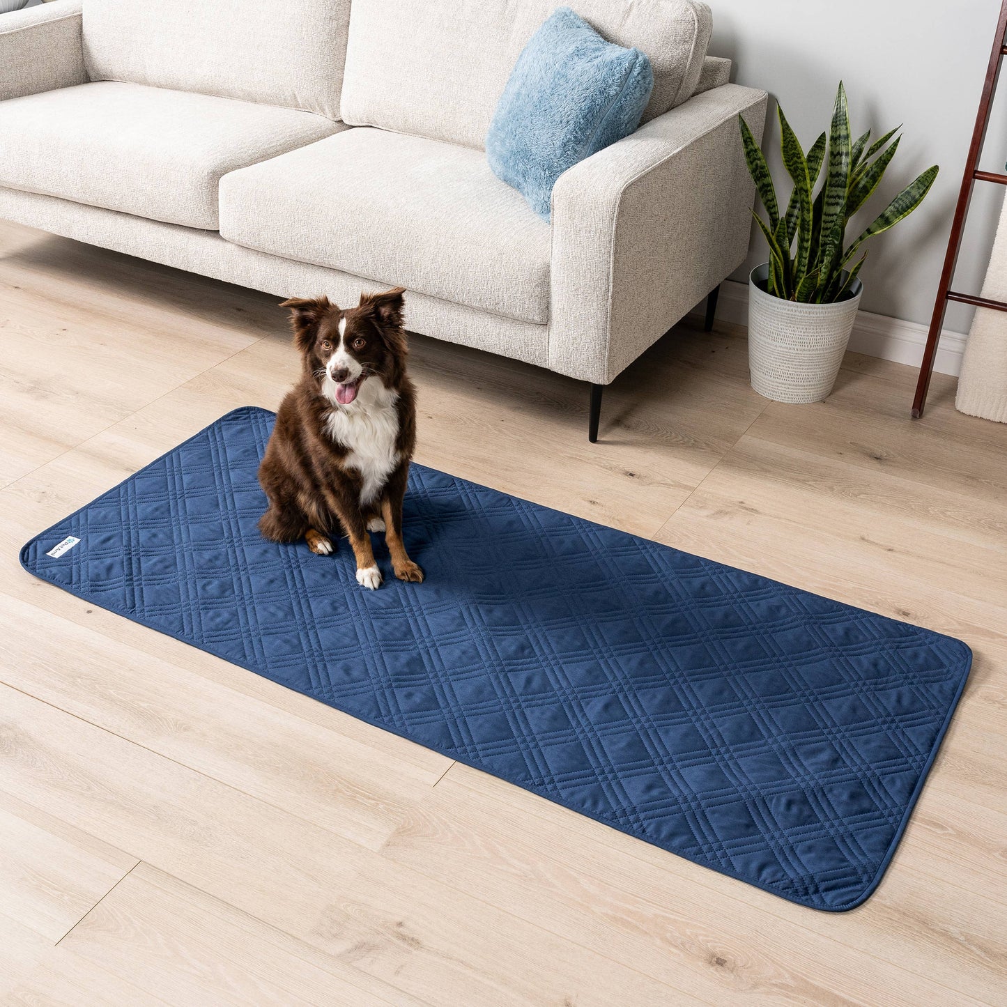 Waterproof Pet Furniture Cover Couch Protector: Charcoal / X-Large - 82" x 102"