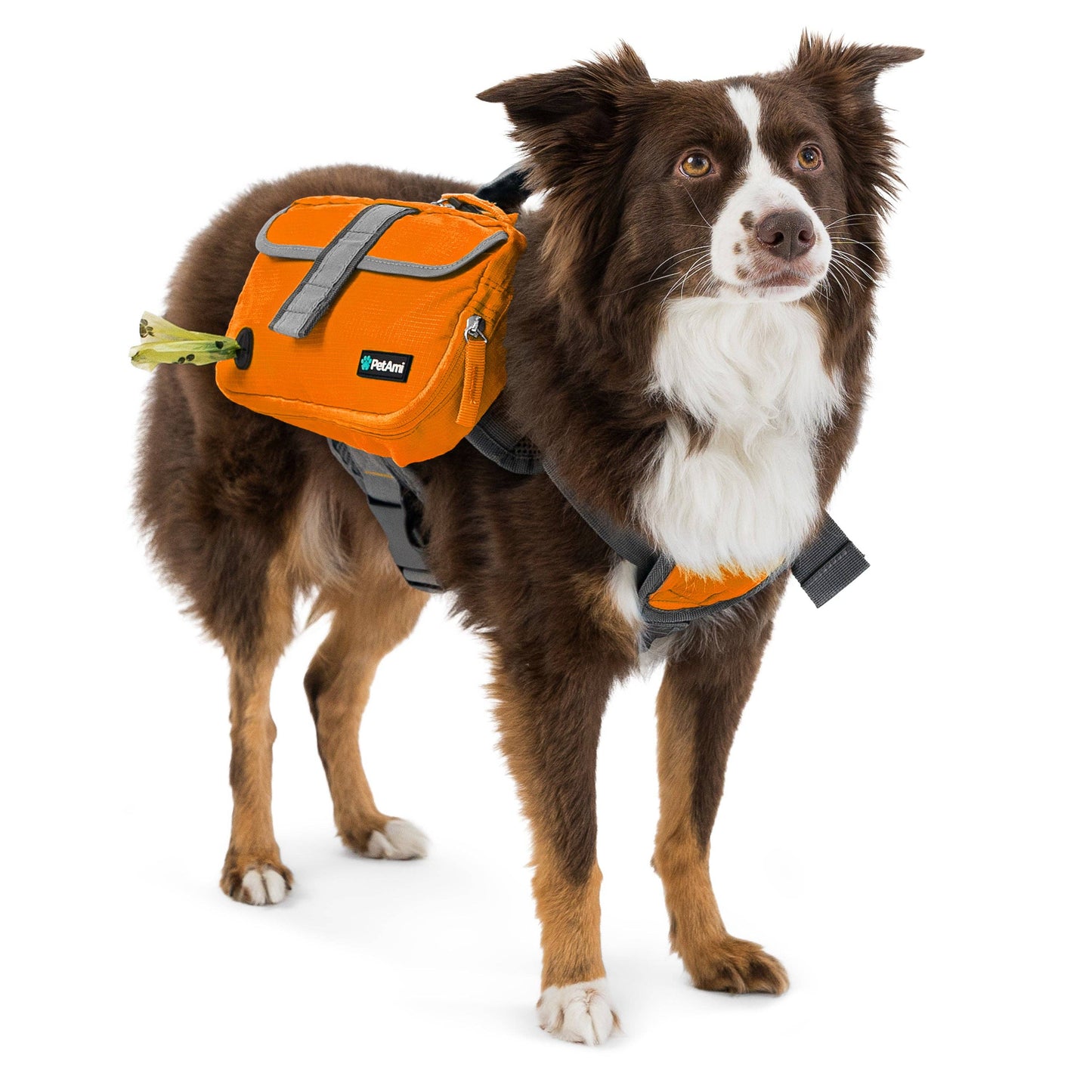 Deluxe Dog Harness Saddle Bag Backpack: Tan / Large