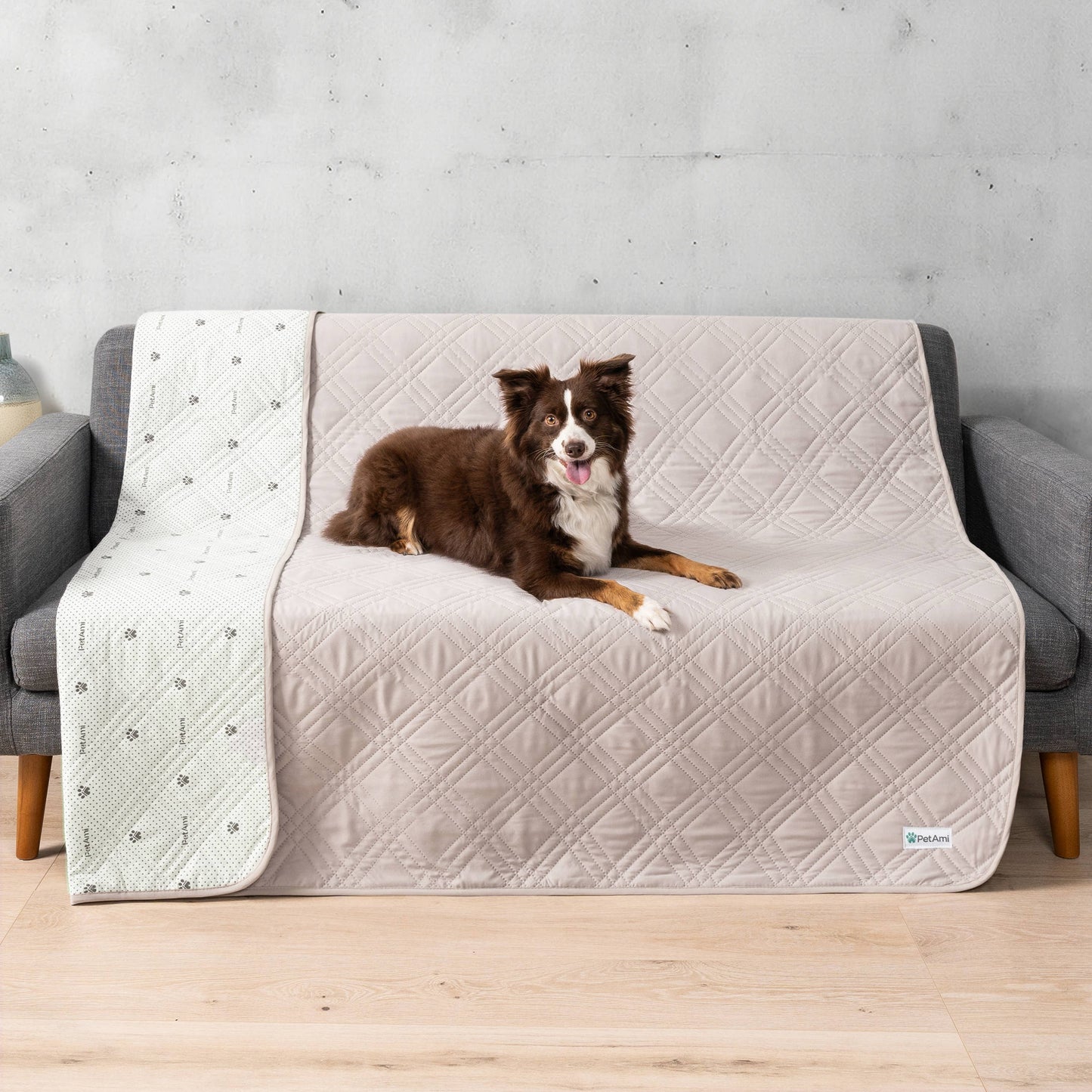 Waterproof Pet Furniture Cover Couch Protector: Charcoal / X-Large - 82" x 102"