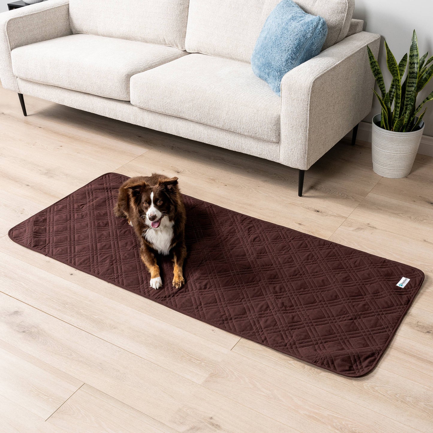 Waterproof Pet Furniture Cover Couch Protector: Charcoal / X-Large - 82" x 102"