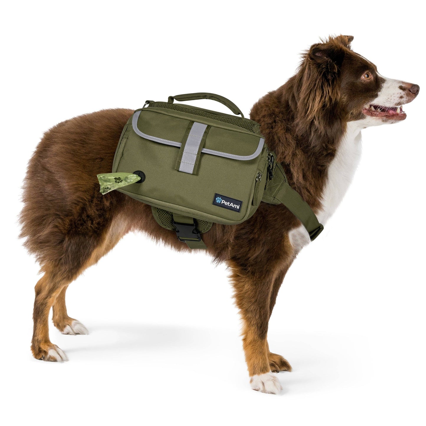 Deluxe Dog Harness Saddle Bag Backpack: Green / Medium