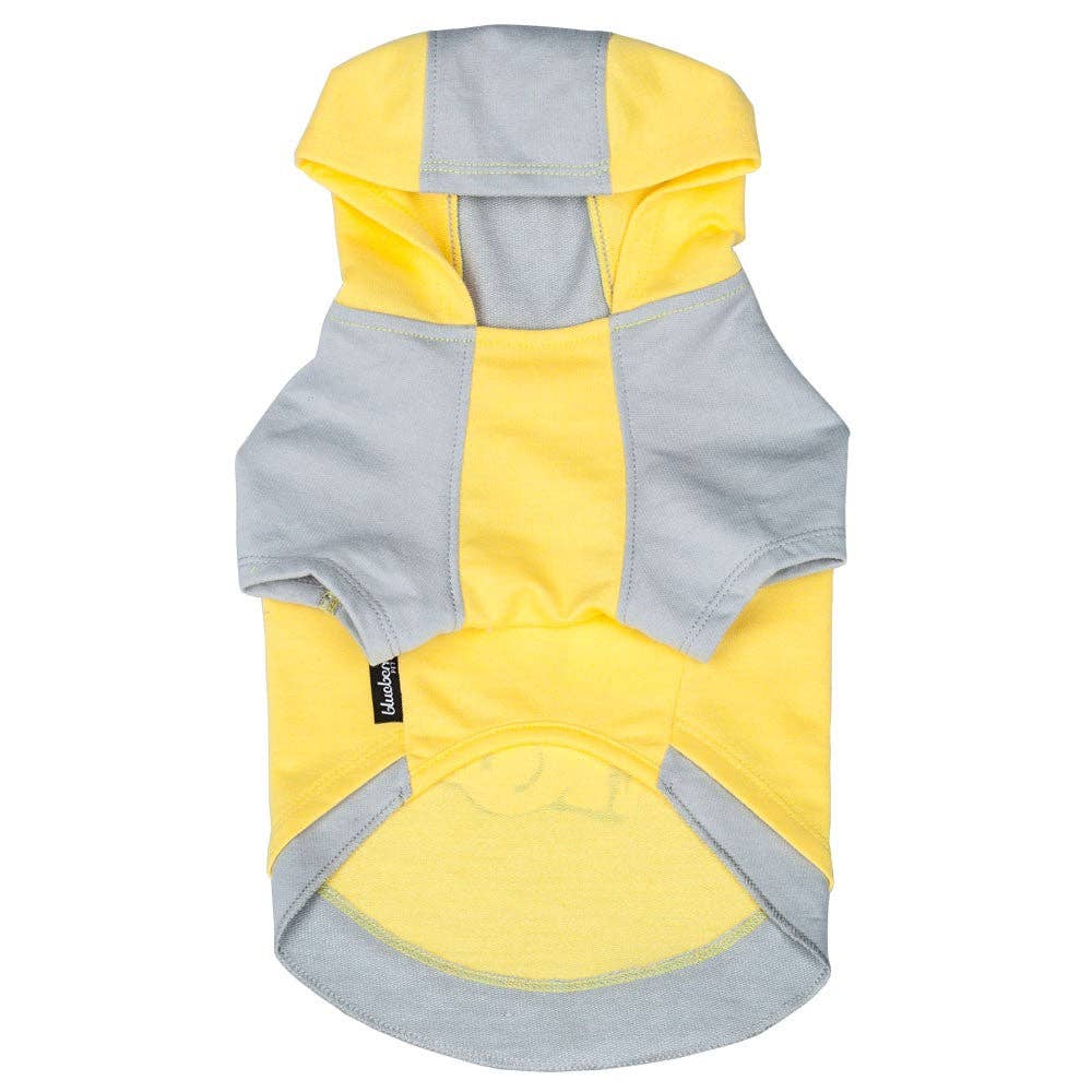 Camera Dog Hoodie: Yellow Camera / 10"