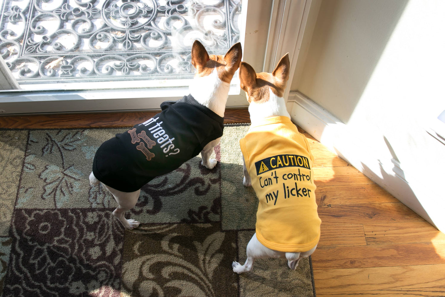 Licker Dog T-Shirt – Trendy & Humorous Pet Clothing: XL