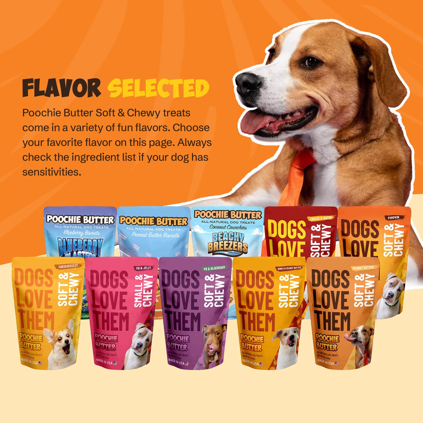 Peanut Butter Soft & Chewy Dog Treats 8oz