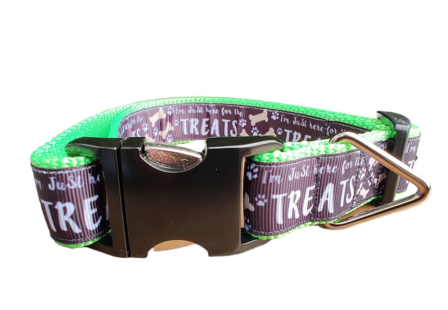 Here For The Treats Neon Green Nylon Dog Collar, Leash: Large