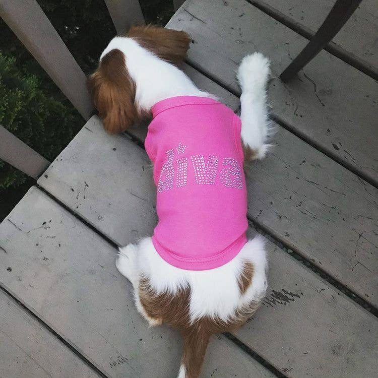 Diva Dog T-Shirt – Trendy & Stylish Outfit for Sassy Pups: 2XL