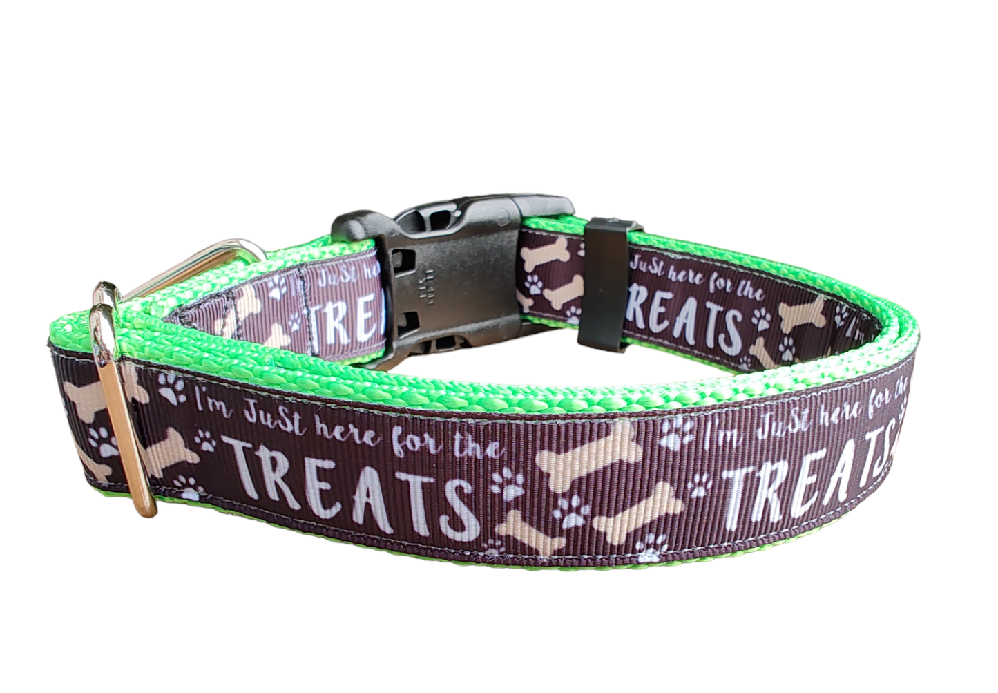 Here For The Treats Neon Green Nylon Dog Collar, Leash: Large