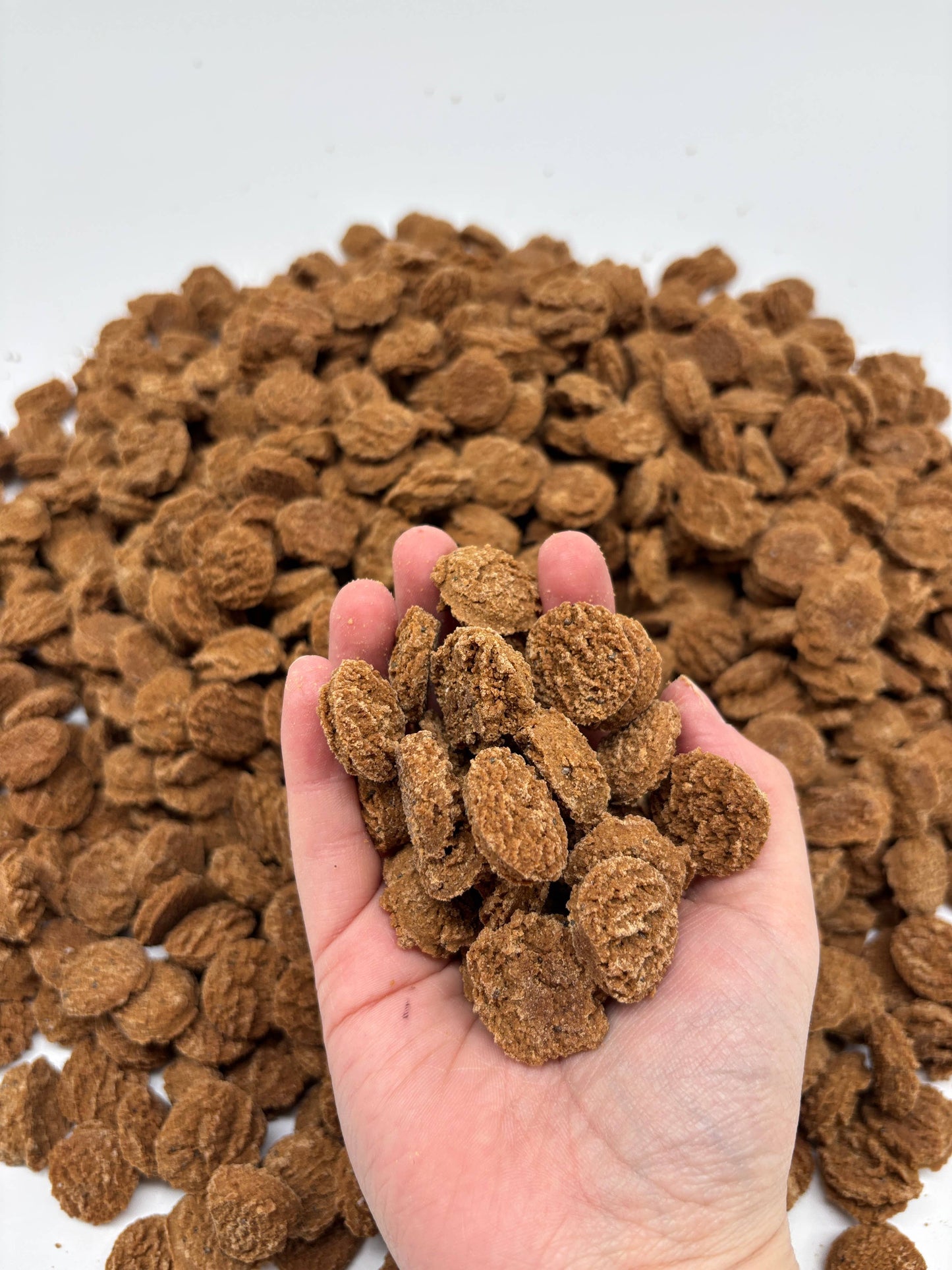 Pumpkin Soft & Chewy Dog Treats 8oz