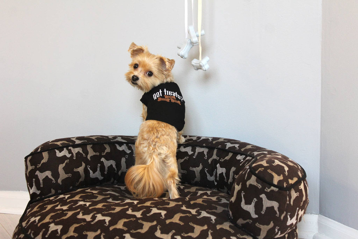 Got Treats Dog T-Shirt – Comfy & Stylish Dog Tee for Pets: XS