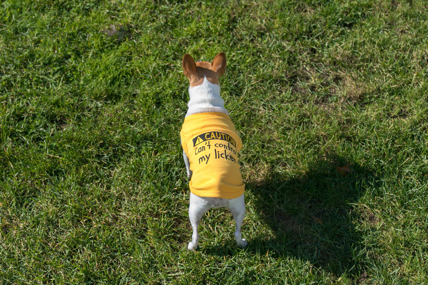 Licker Dog T-Shirt – Trendy & Humorous Pet Clothing: XL