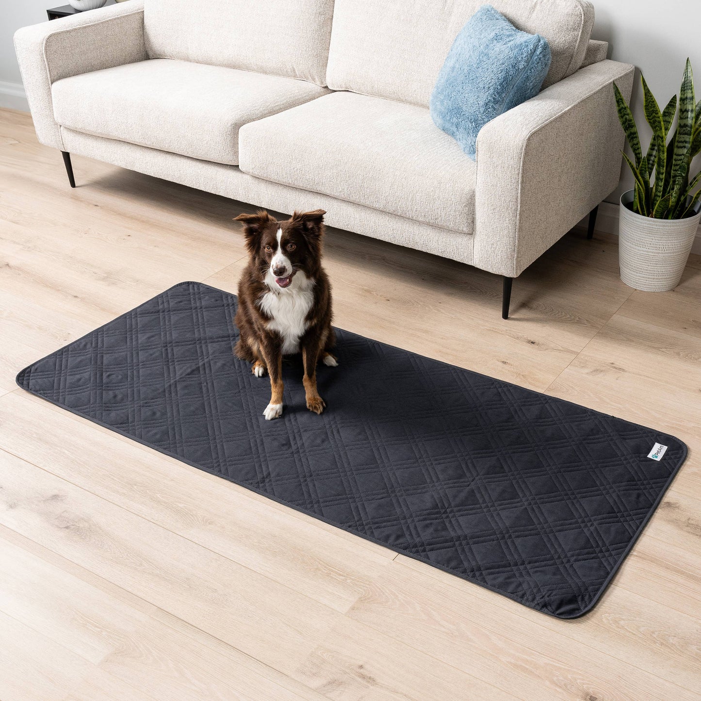 Waterproof Pet Furniture Cover Couch Protector: Charcoal / X-Large - 82" x 102"