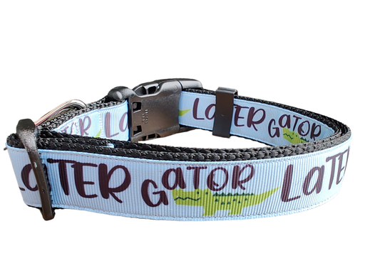 Later Gator Black Nylon Dog Collar, Leash: 6 Ft Leash