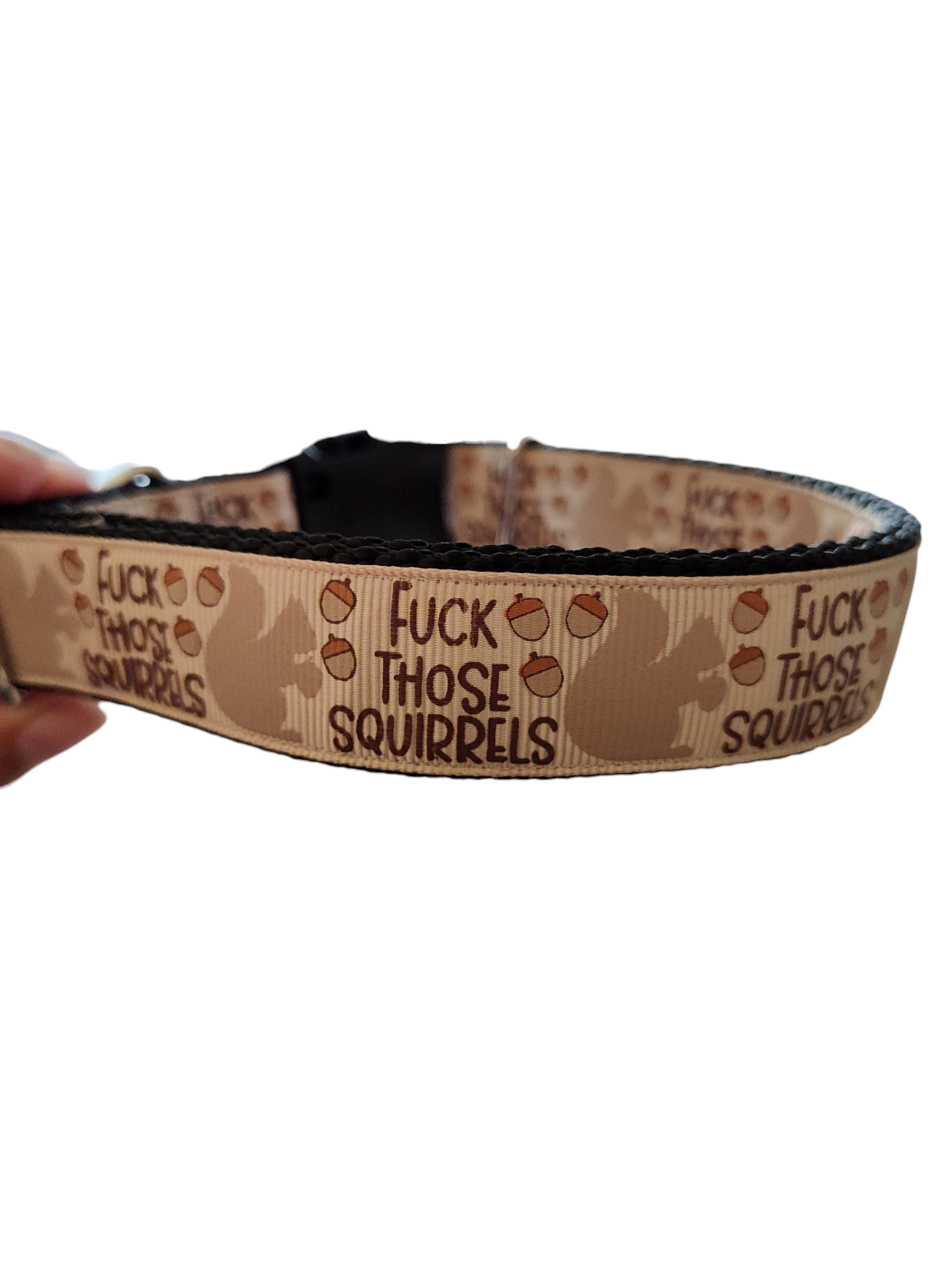 Fuck Those Squirrels Nylon Dog Collar: Plastic Buckle / Medium
