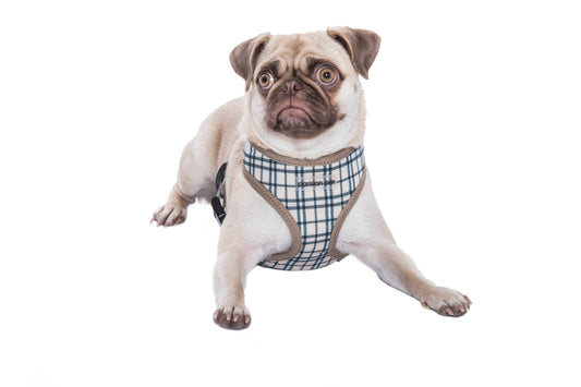 Freedom Harness Khaki Plaid – Fashionable Dog Gear: L
