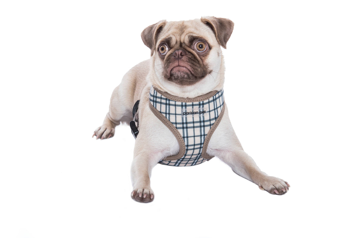 Freedom Harness Khaki Plaid – Fashionable Dog Gear: S