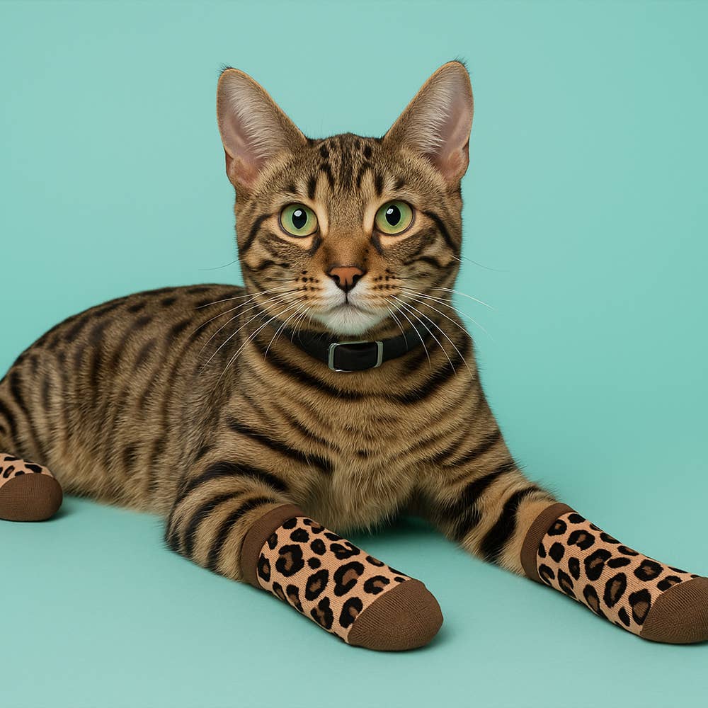 Matching Pet And Owner Fun Socks: Strawberry