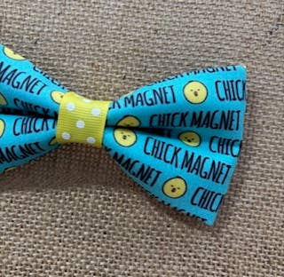 Chick Magnet Standard Size