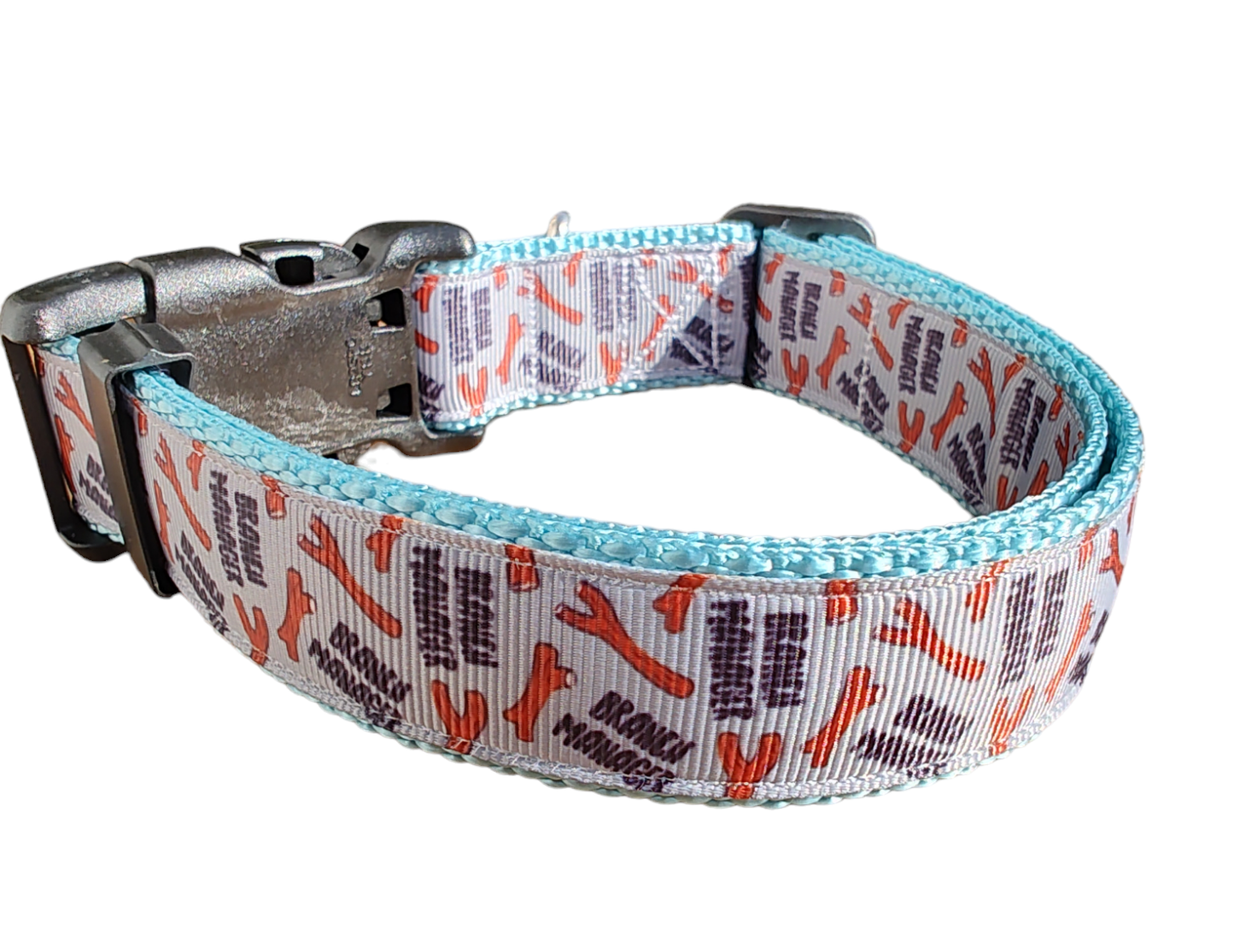 Branch Manager Light Blue Nylon Dog Collar, Leash: 6 Ft Leash