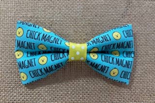 Chick Magnet Standard Size