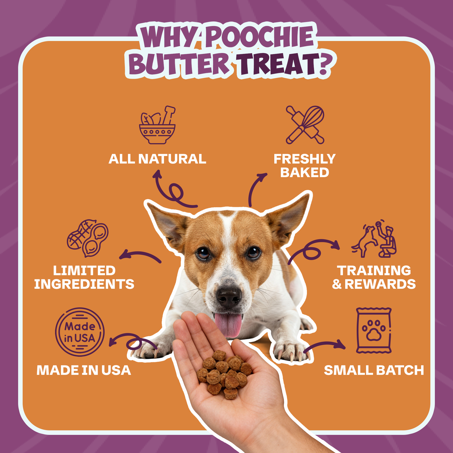 Peanut Butter Soft & Chewy Dog Treats 8oz