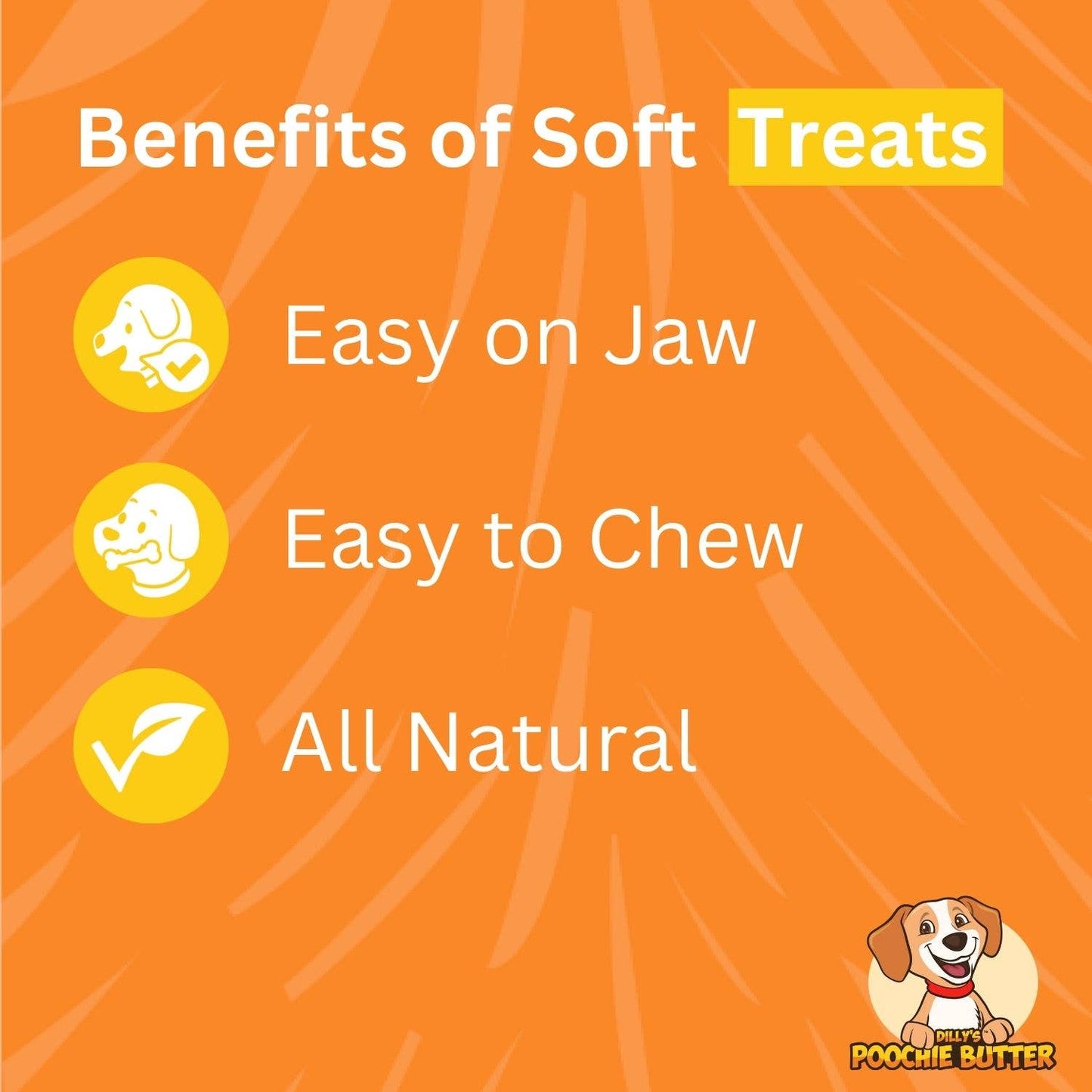 Peanut Butter & Blueberry Soft Chewy Dog Treats 8oz