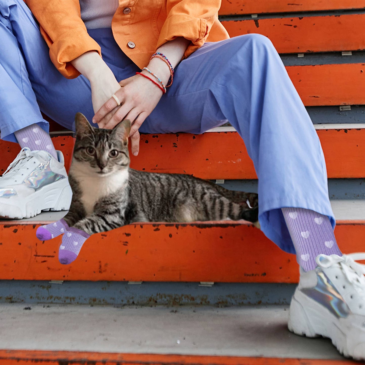 Matching Pet And Owner Fun Socks: Strawberry