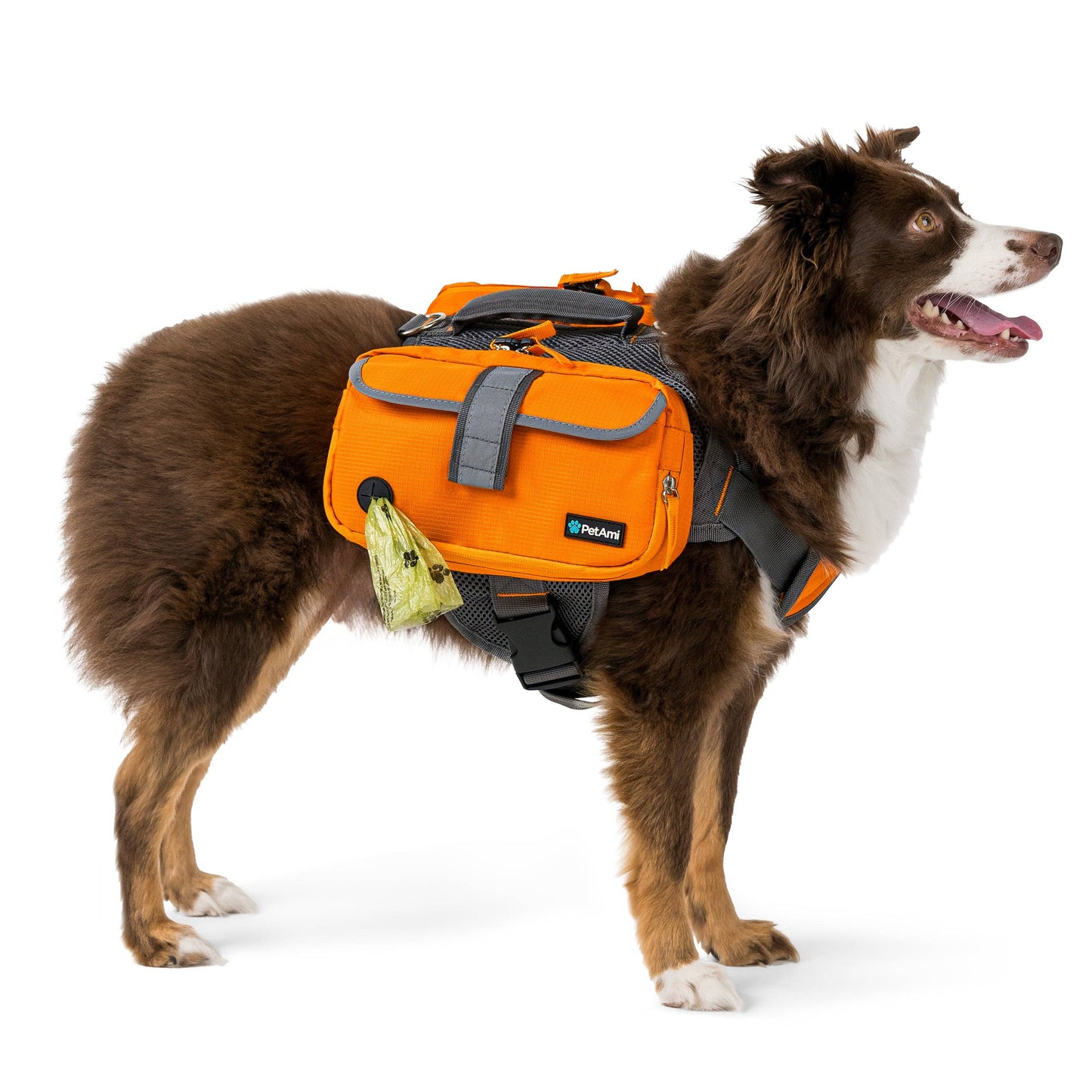 Deluxe Dog Harness Saddle Bag Backpack: Green / Medium