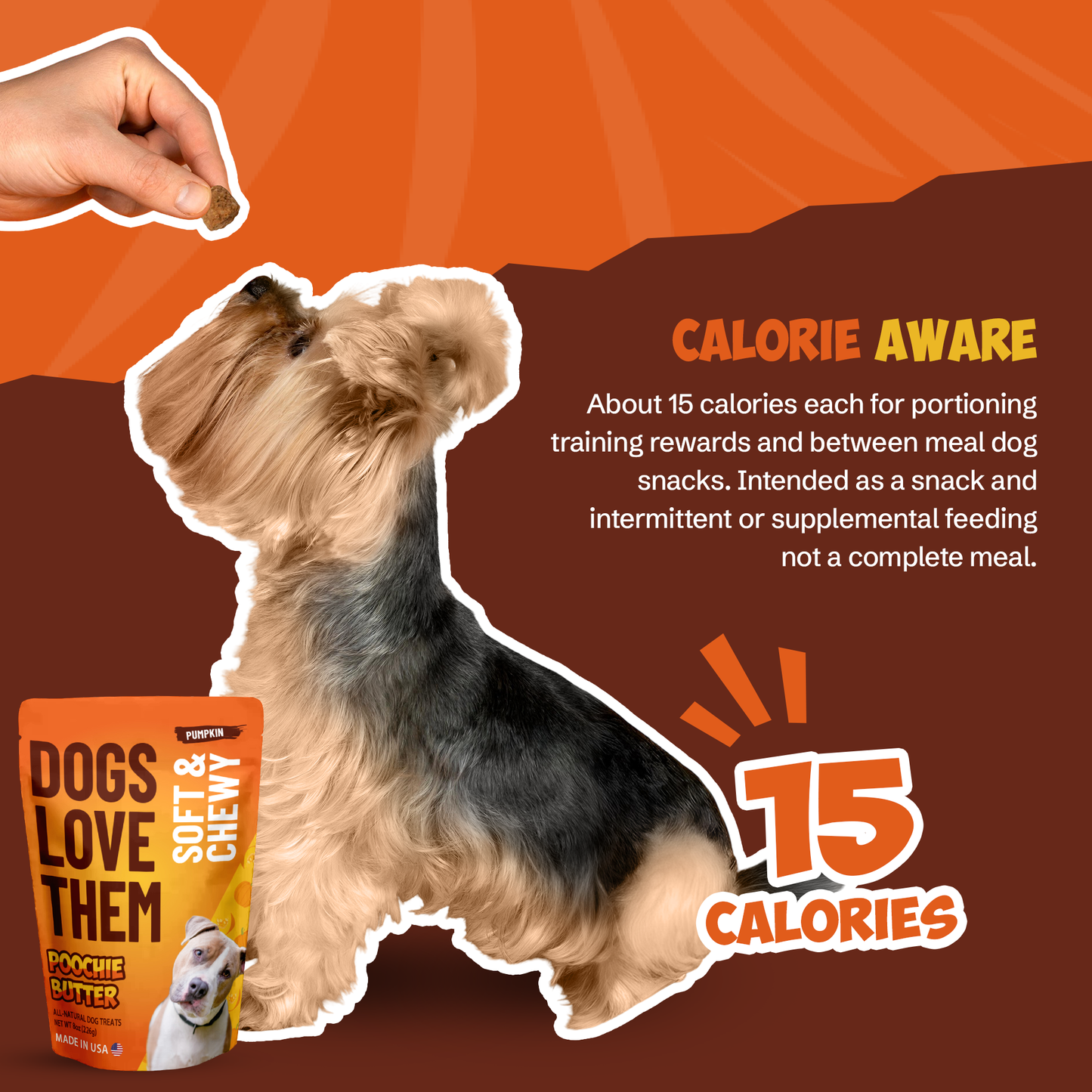 Pumpkin Soft & Chewy Dog Treats 8oz
