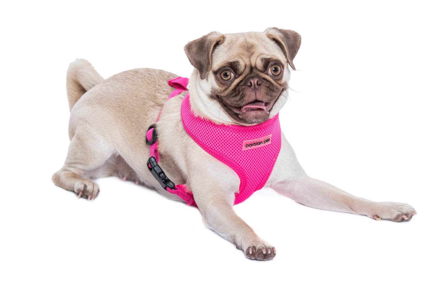Freedom Harness Neon Pink – Ideal Pet Gear for Outdoor Fun: XL