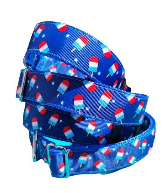 Summer Pop Blue Nylon Dog Collar MD, LG, XL, Leash: 6 Ft Leash