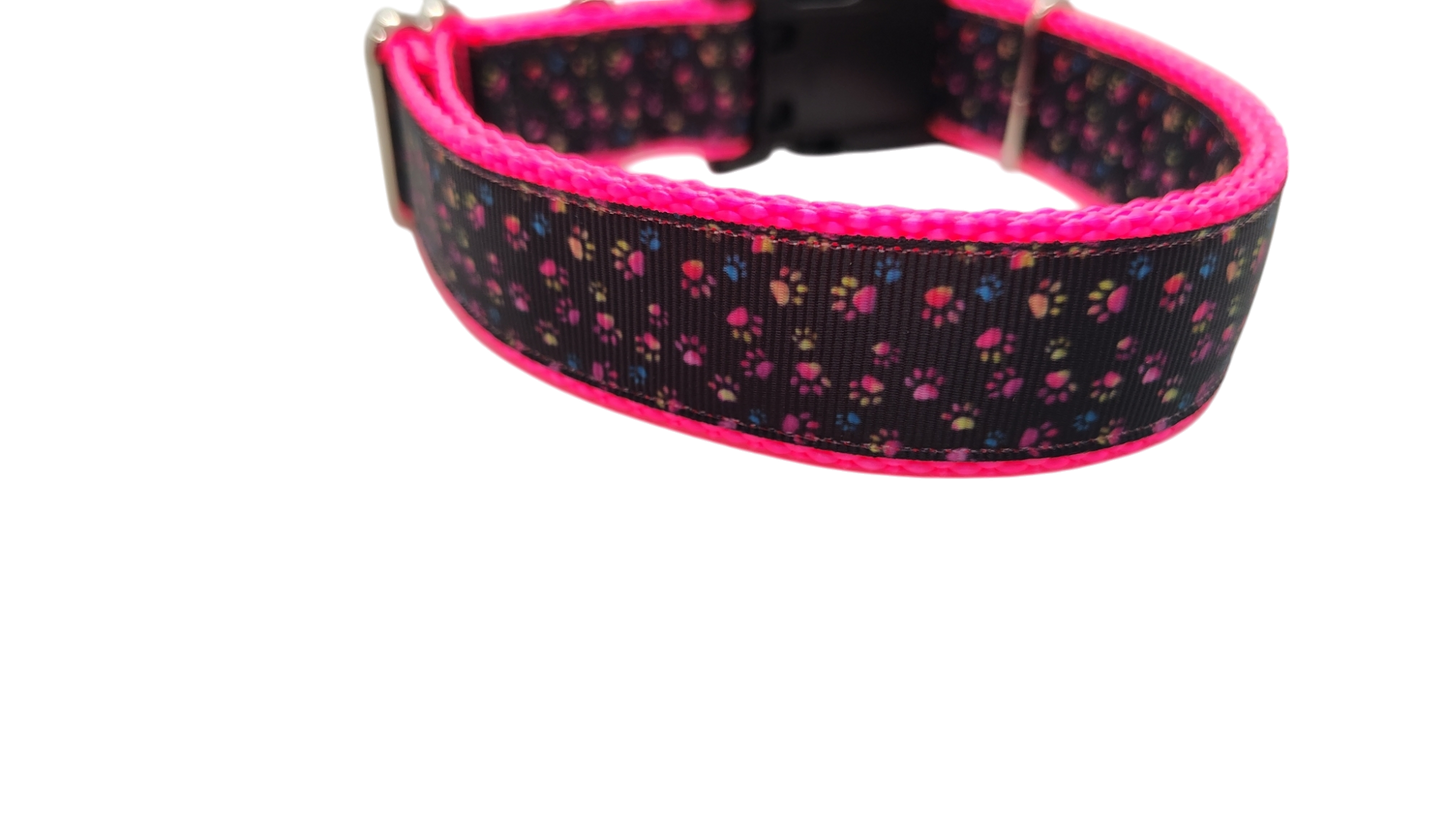 Colorful Pawprints Nylon Dog Collar, Leash: Metal Buckle / 6 Ft Leash