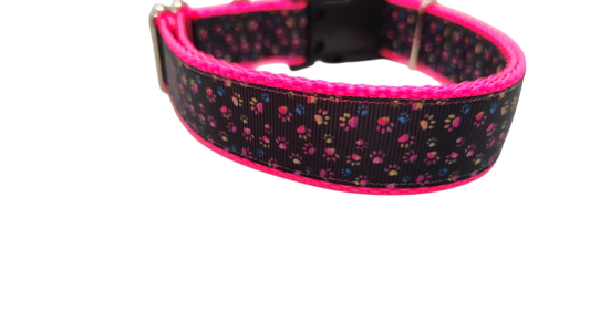 Colorful Pawprints Nylon Dog Collar, Leash: Metal Buckle / 6 Ft Leash