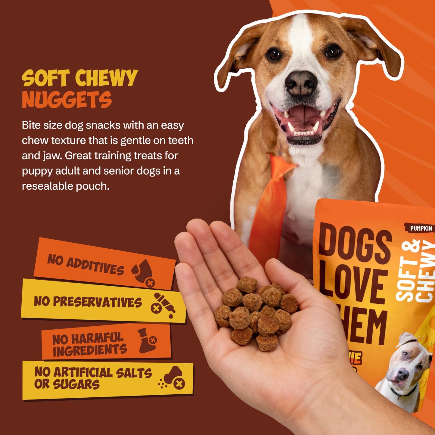 Pumpkin Soft & Chewy Dog Treats 8oz