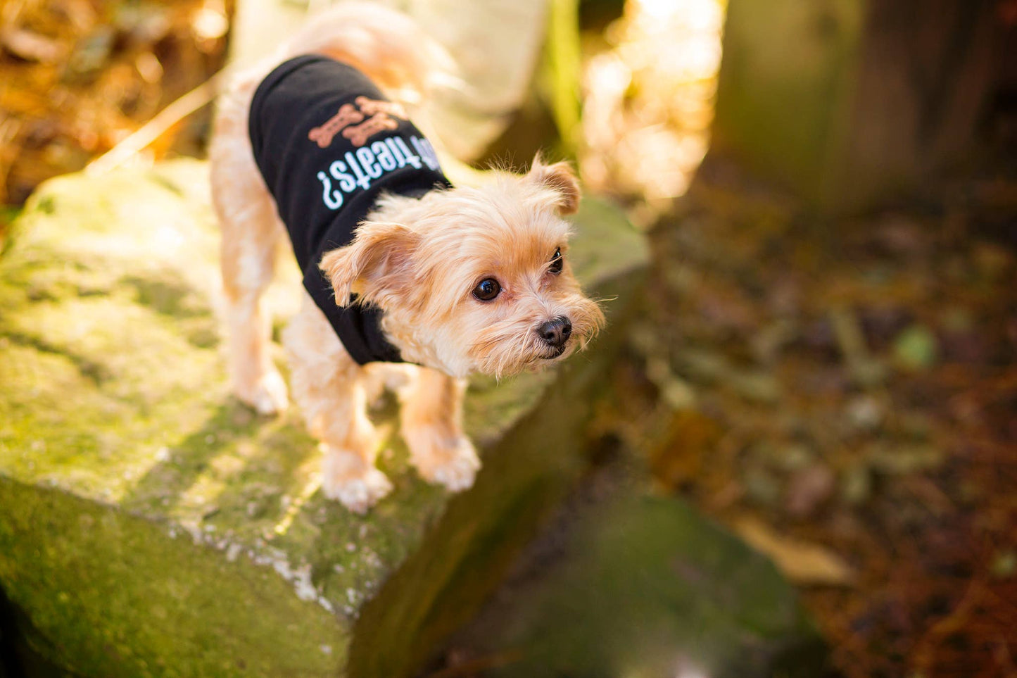 Got Treats Dog T-Shirt – Comfy & Stylish Dog Tee for Pets: XS