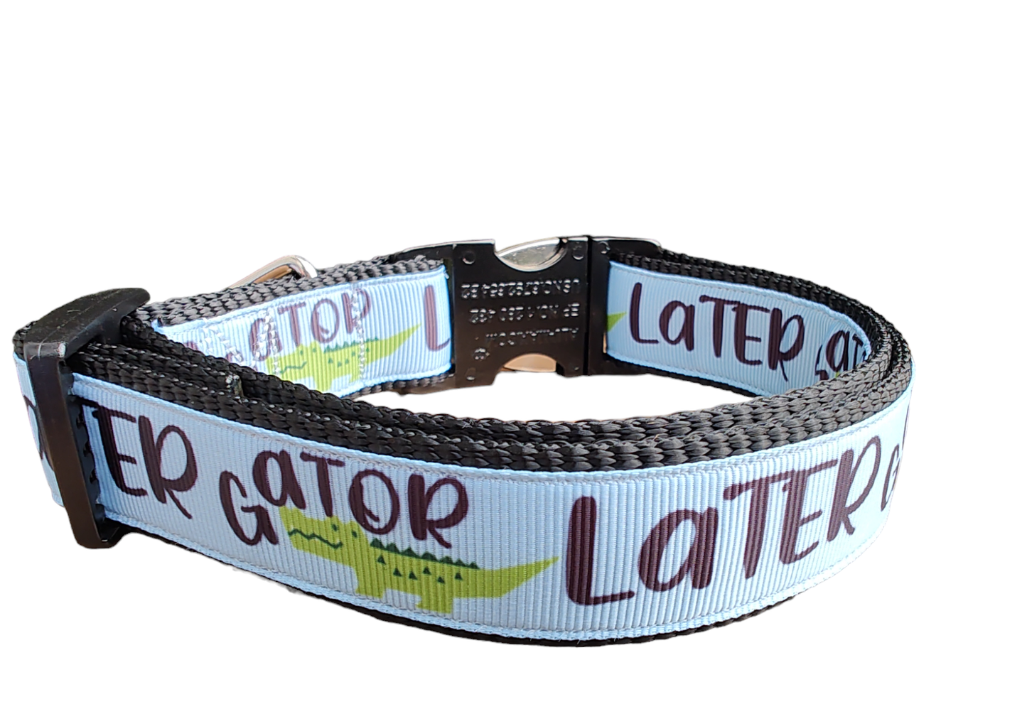 Later Gator Black Nylon Dog Collar, Leash: 6 Ft Leash