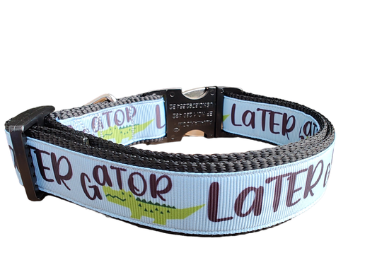 Later Gator Black Nylon Dog Collar, Leash: 6 Ft Leash