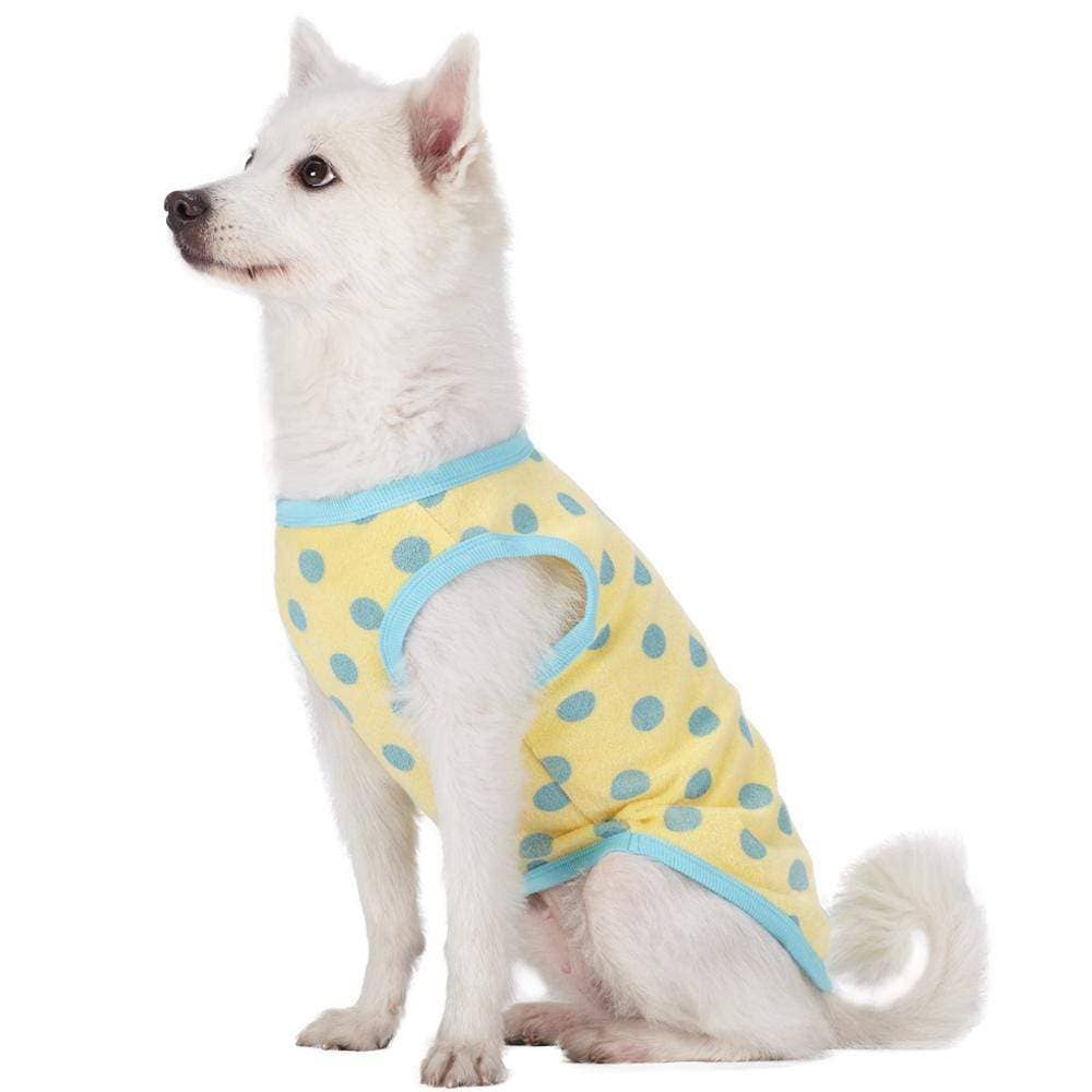 Pajamas | Affection Sleep & Play Dog Shirts, 2 Pack: Pastel Blue / 12"