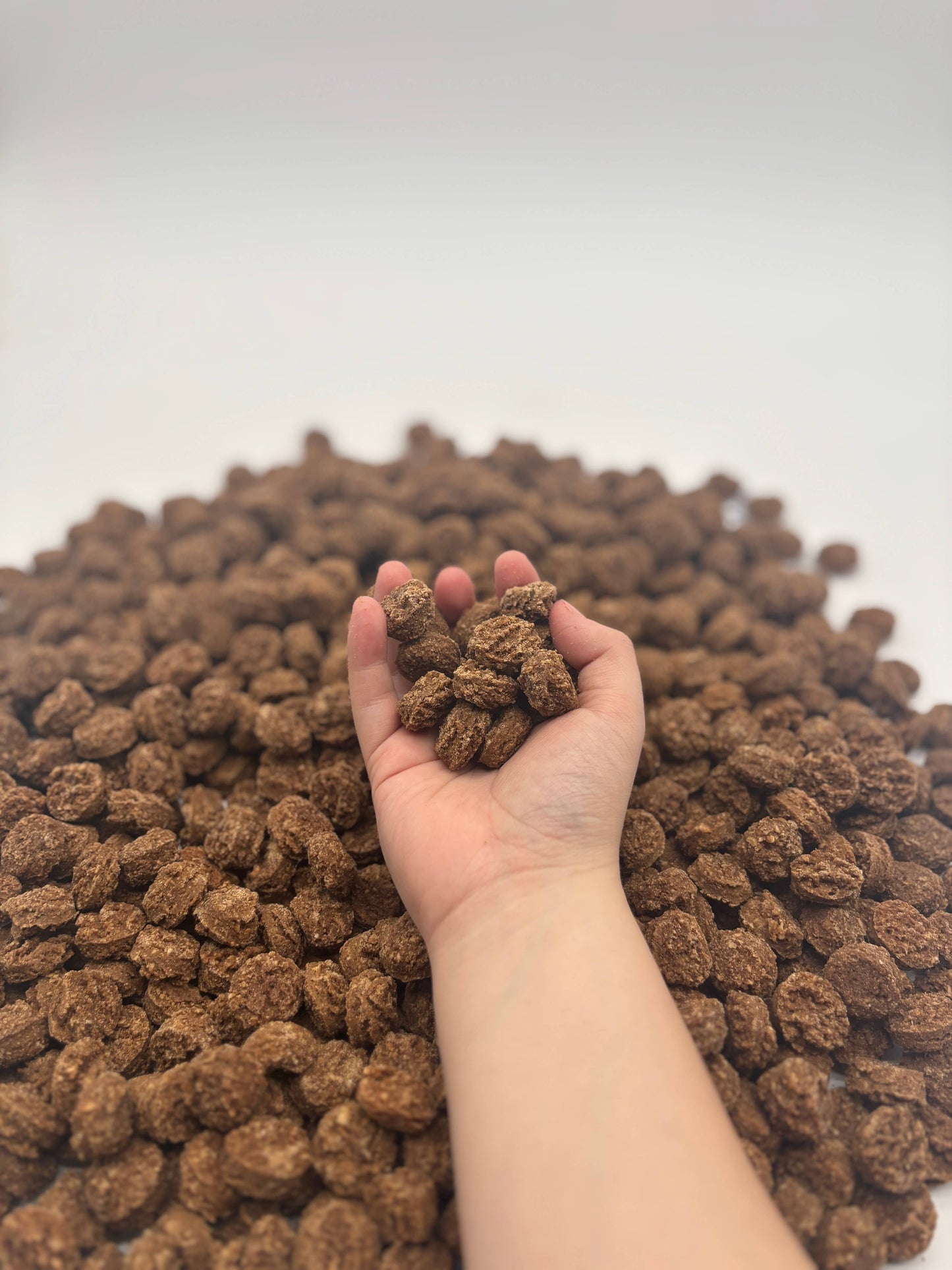 Peanut Butter & Blueberry Soft Chewy Dog Treats 8oz
