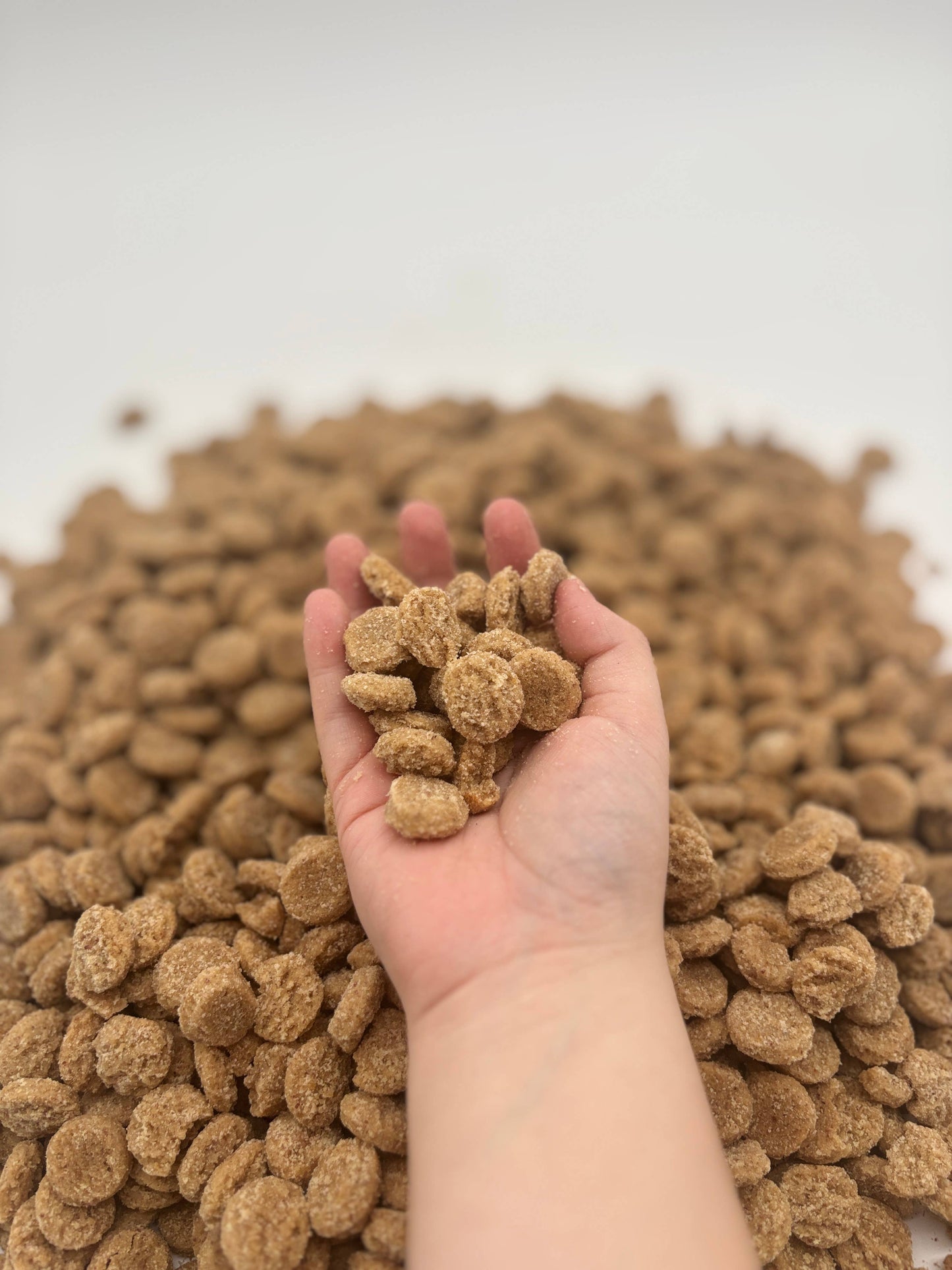 Peanut Butter Soft & Chewy Dog Treats 8oz