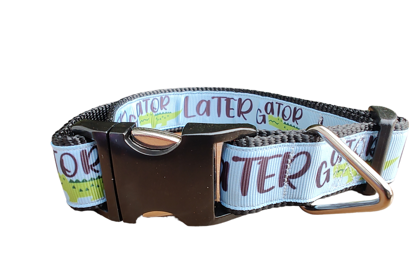 Later Gator Black Nylon Dog Collar, Leash: 6 Ft Leash
