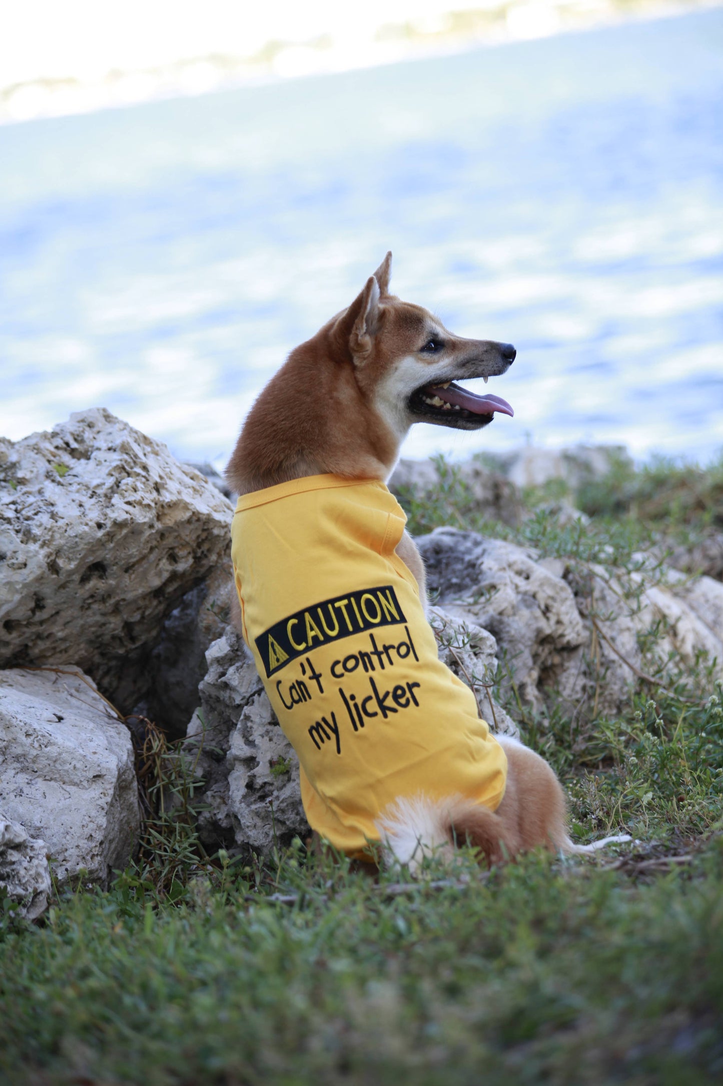 Licker Dog T-Shirt – Trendy & Humorous Pet Clothing: 3XL