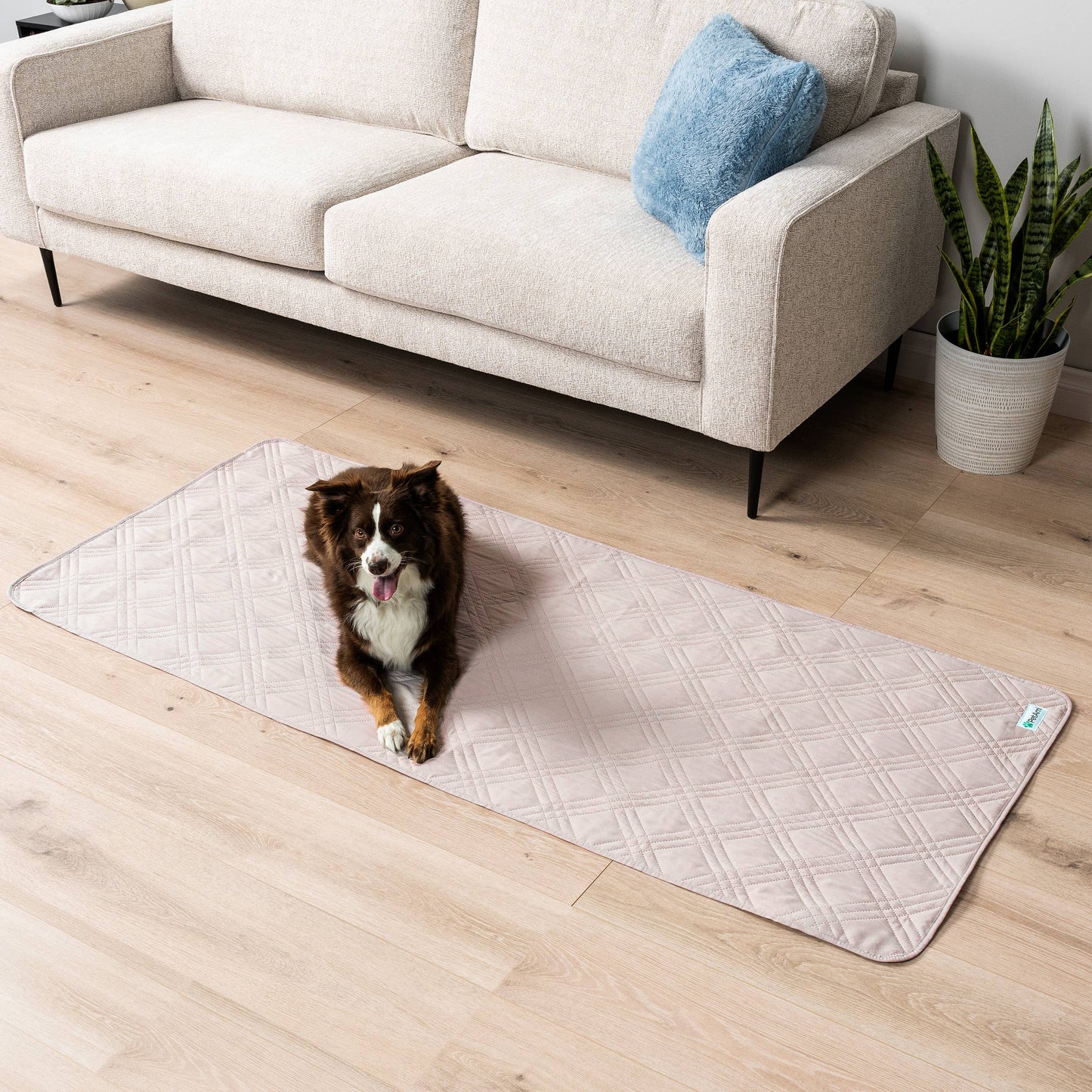Waterproof Pet Furniture Cover Couch Protector: Gray / X-Large - 82" x 102"